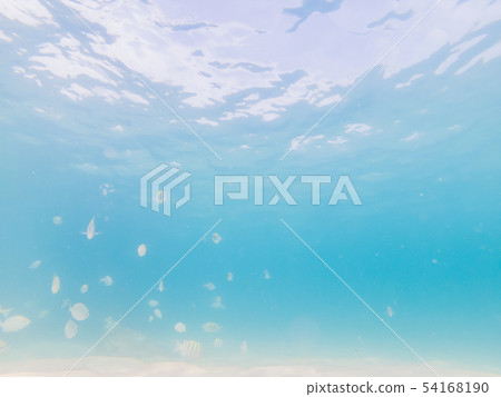 Beautiful tropical fish on the white sand beach 54168190