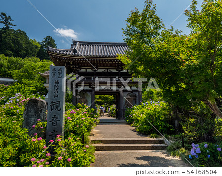 Tanshu Kannon Temple Ajisai Temple 54168504