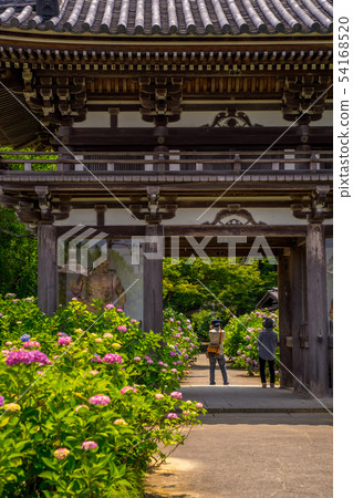 Tanshu Kannon寺廟Ajisai寺廟 54168520