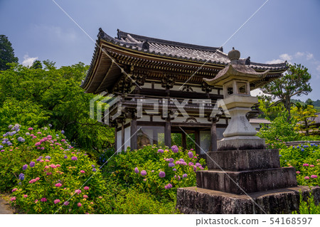 Tanshu Kannon Temple Ajisai Temple 54168597