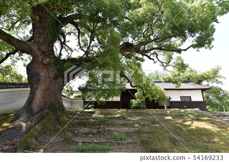 青葉寺門 54169233