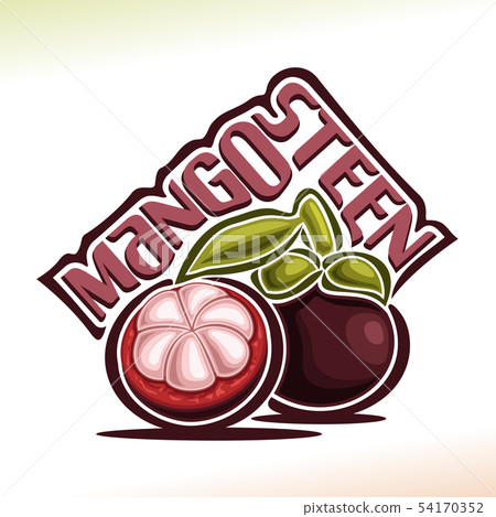 Vector logo for Mangosteen Fruit Vector logo for Mangosteen Fruit 54170352