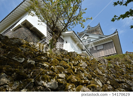 Echizen Ono Walk: Echizen Ono Castle 54170629