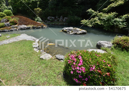 青森的花園 54170675