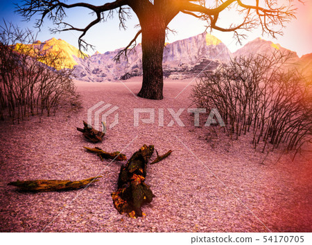 Solitary dead tree in desert 3d illustration Solitary dead tree in desert 3d illustration 54170705