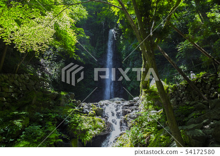 Yoro瀑布初夏視圖 54172580