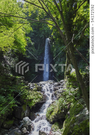 Yoro waterfall early summer view Yoro waterfall early summer view 54172592