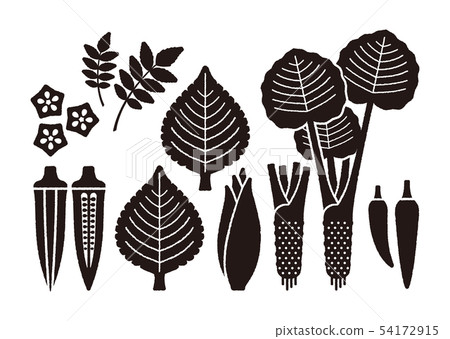 Vegetable variation _ Japanese food set Vegetable variation _ Japanese food set 54172915