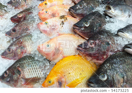 Fresh fish on ice shelf. Fresh fish on ice shelf. 54173225