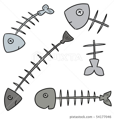 vector set of fishbone 54177046