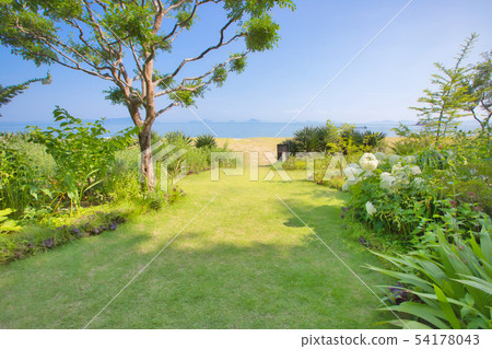 A garden A garden 54178043