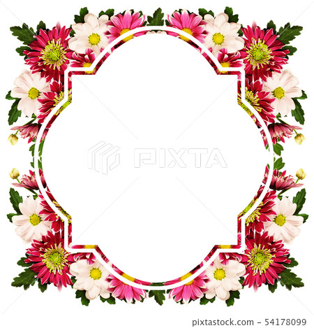 Chrysanthemum flowers frame Chrysanthemum flowers frame 54178099