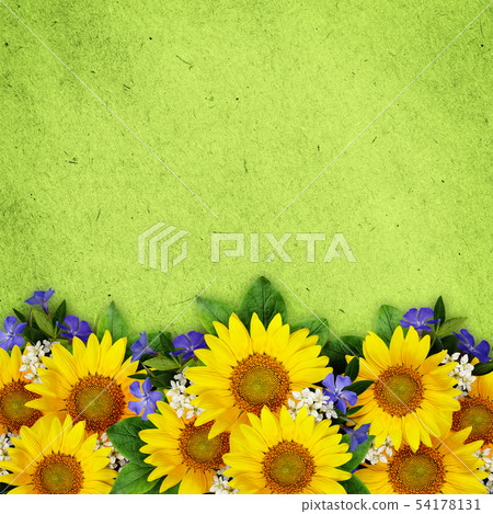 Sunflowers and wild flowers background Sunflowers and wild flowers background 54178131