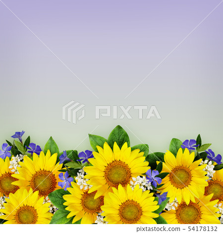 Sunflowers and wild flowers background 54178132