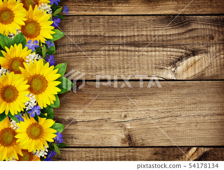 Sunflowers and wild flowers border on wood Sunflowers and wild flowers border on wood 54178134