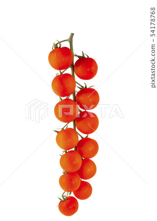 Ripe Red Cherry Tomatoes on White Background Ripe Red Cherry Tomatoes on White Background 54178768