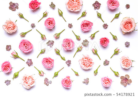 Flower pattern: flowers roses, buds and succulents 54178921