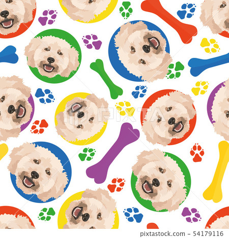 Colorful and playful poodle - Stock Illustration [54179116] - PIXTA