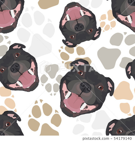 Dog paws pattern Staffordshire Bull Terrier 54179140