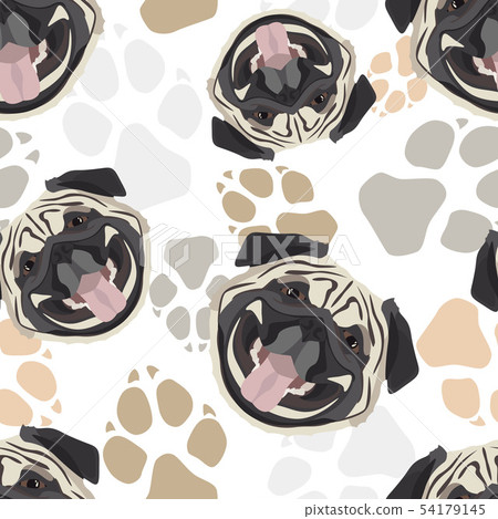 Pattern Pug Dog paws Pattern Pug Dog paws 54179145