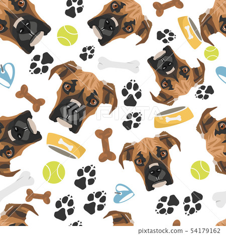 Smiling Dog Boxer 54179162