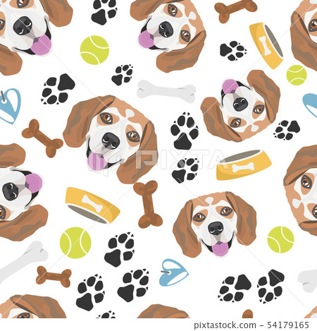 Smiling Dog Beagle 54179165