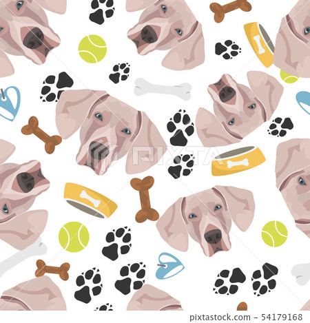 Smiling Dog Weimaraner 54179168
