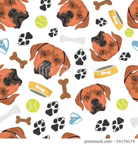 Smiling Dog Rhodesian Ridgeback 54179174