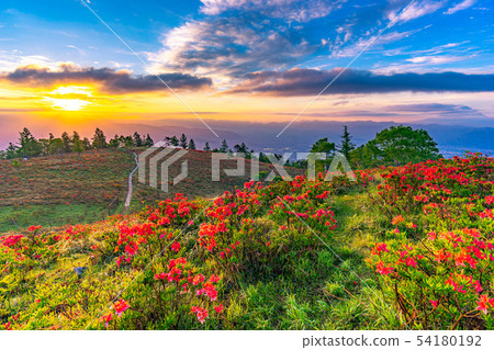 從阿瑪瑞山和rengetsutsuji [山梨縣]的日出 54180192