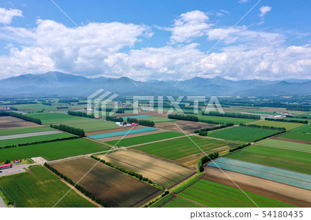 夏日十勝 54180435