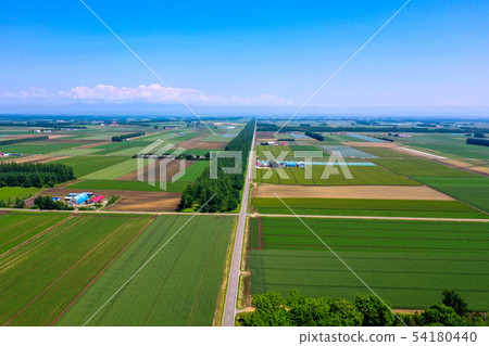 Summer Tokachi 54180440