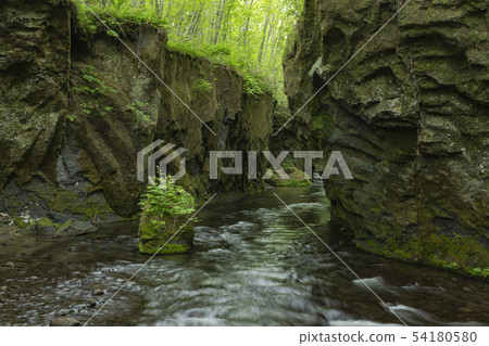 新鮮的綠色Tarumae Gallo 54180580