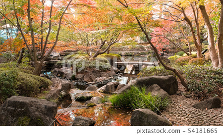 Daejeon黑色公園，秋葉 54181665
