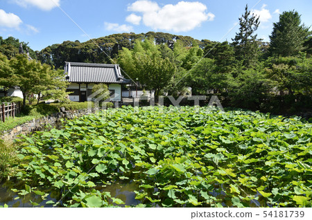 Shimofuku-ji Temple Hosho Pond Shimofuku-ji Temple Hosho Pond 54181739