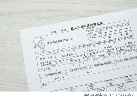 預扣稅退稅會計憑證 預扣稅退稅會計憑證 54182103