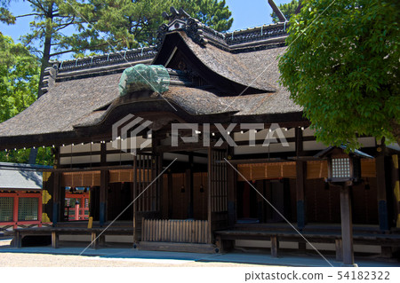 Sumiyoshi Taisha Shrine 54182322