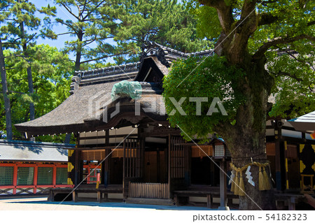 Sumiyoshi Taisha Shrine 54182323