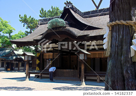 Sumiyoshi Taisha Shrine Sumiyoshi Taisha Shrine 54182337