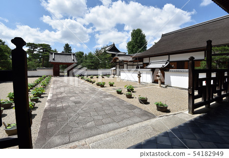 View of Matsukendo Hall from Kaifukudo View of Matsukendo Hall from Kaifukudo 54182949