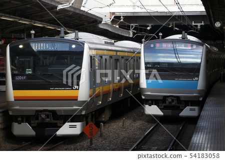 Nanbu Line E233 (Kawasaki Station) 54183058