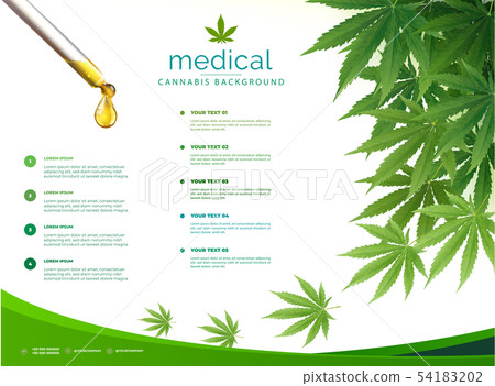 Cannabis or marijuana medical Brochure design. Cannabis or marijuana medical Brochure design. 54183202