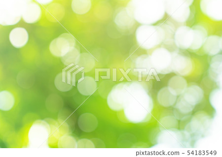 natural green bokeh abstract background,blurred natural green bokeh abstract background,blurred 54183549