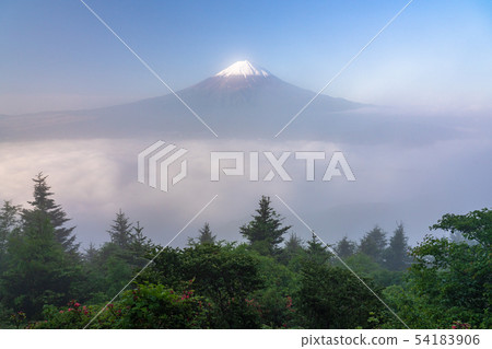 《Yamanashi Prefecture》Mt.Fuji in the early summer 54183906