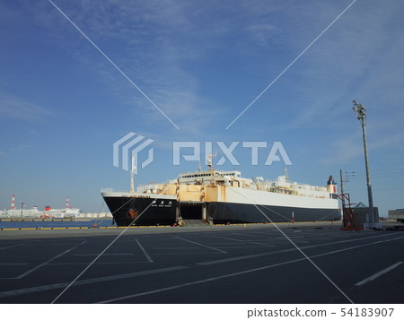 Cargo ship _ Tomakomai Port 54183907