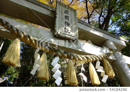 Zama Shrine 54184290