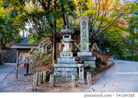 Takaoyama Yakuin Osaka women's slope of autumn leaves 54184388