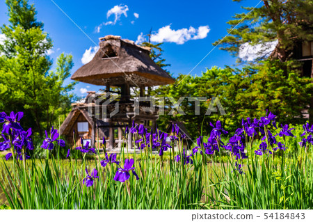 （岐阜縣）Shirakawa Go Meizenji 54184843