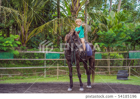 Boy horseback riding, performing exercises on horseback Boy horseback riding, performing exercises on horseback 54185196