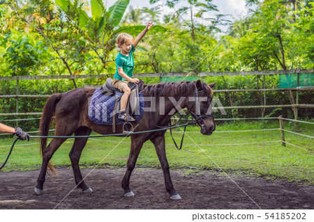 Boy horseback riding, performing exercises on horseback Boy horseback riding, performing exercises on horseback 54185202