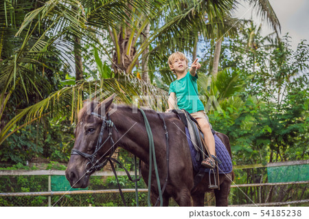 Boy horseback riding, performing exercises on horseback Boy horseback riding, performing exercises on horseback 54185238